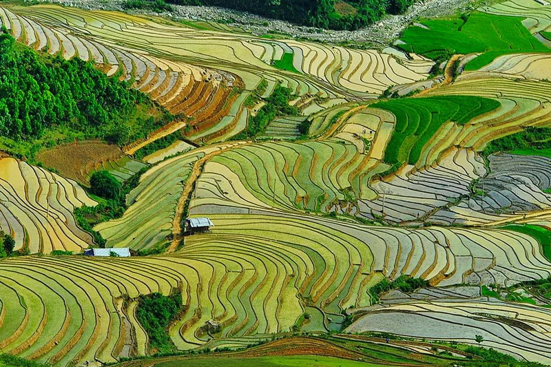 Mù Cang Chải — ảnh minh họa điểm đến