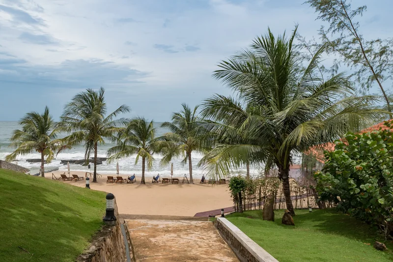 Hàng dừa và bãi biển Phú Quốc