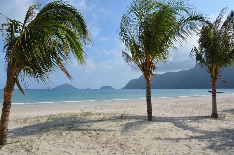 Bãi biển và hàng dừa bên vịnh Côn Sơn, Côn Đảo