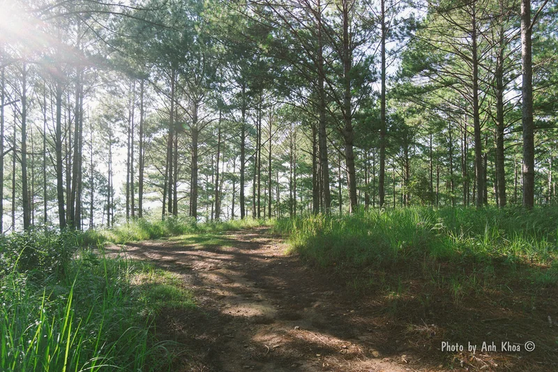 Đà Lạt – phong cảnh địa phương