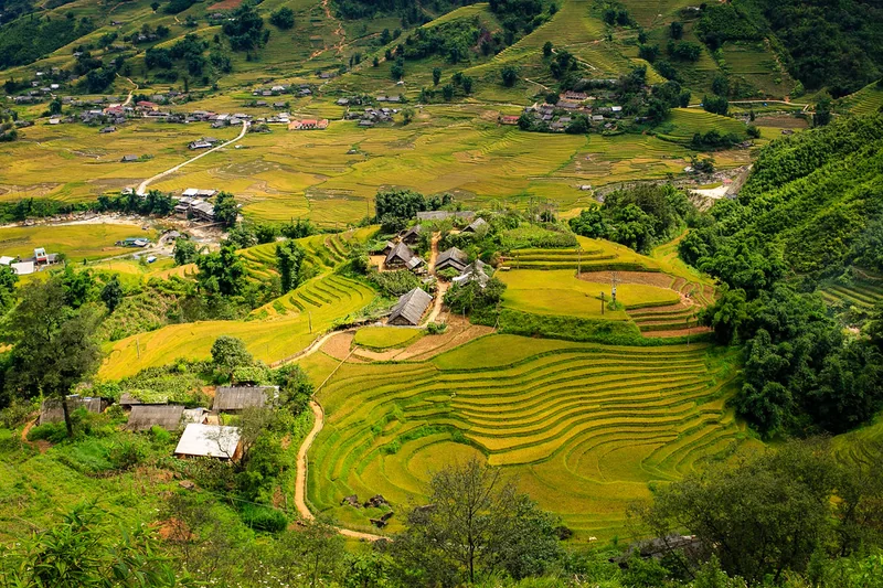 Ruộng bậc thang và những nếp nhà ở Lao Chải, Sa Pa