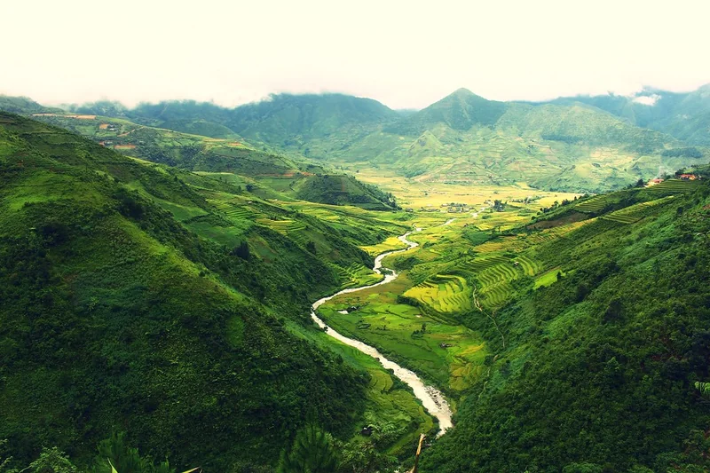Thung lũng ruộng bậc thang Mù Cang Chải