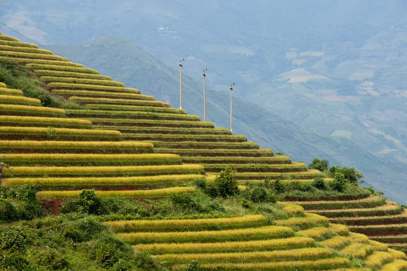 Sa Pa – cảnh điểm đến trong hành trình