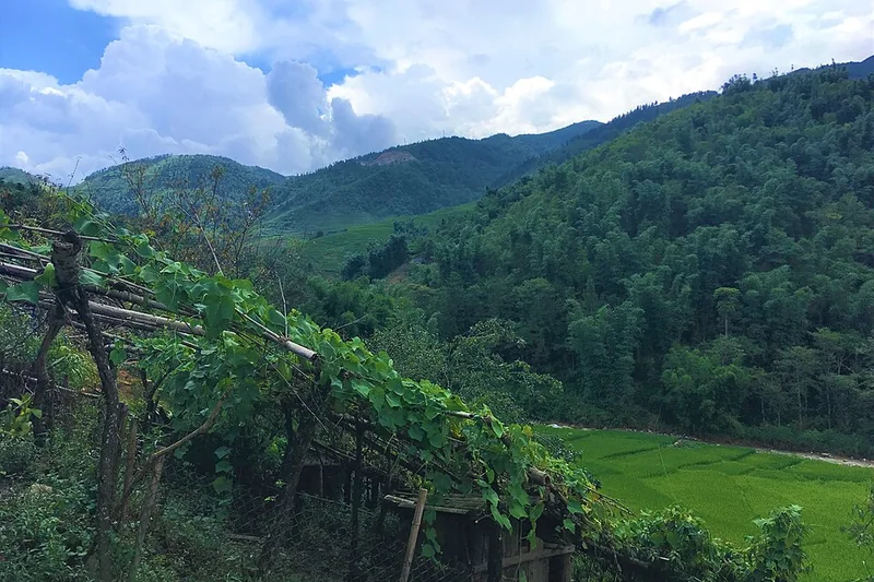 Thung lũng xanh và núi rừng ở Sa Pa