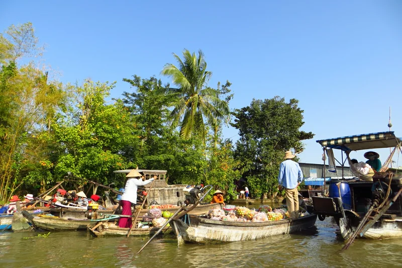 Thuyền và hàng cây bên dòng sông ở Cần Thơ
