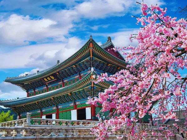 Ảnh minh họa Seoul – Nami – Everland – Du thuyền sông Hàn