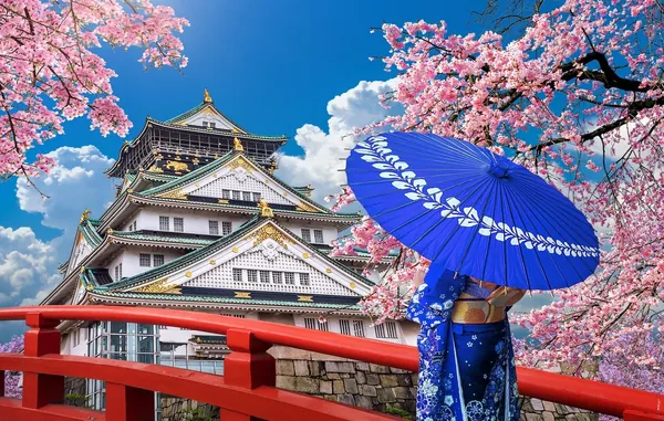 Ảnh minh họa Osaka – Kyoto – Nagoya – Phú Sĩ – Tokyo
