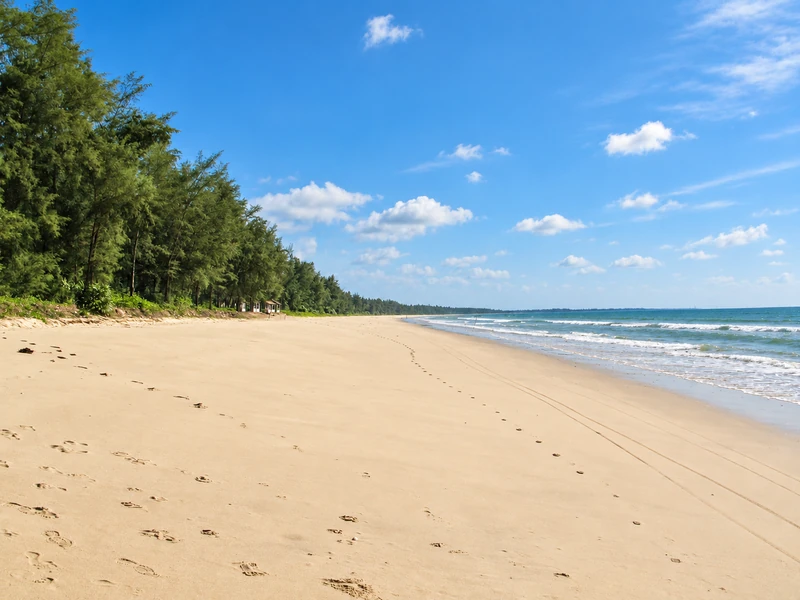 Bãi biển Trà Cổ với bờ cát rộng và hàng phi lao