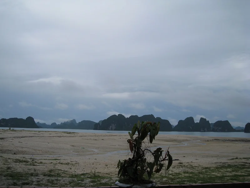 Biển Bái Tử Long nhìn từ Quan Lạn, Vân Đồn
