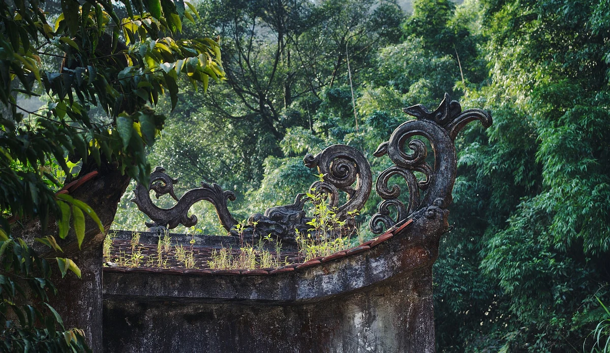 Tam Đảo